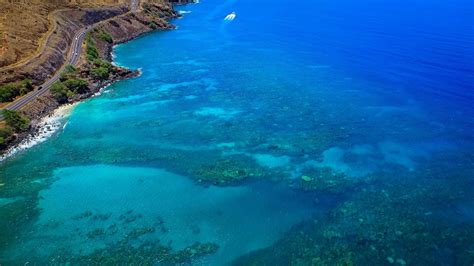 Maui magic adventure snorkel